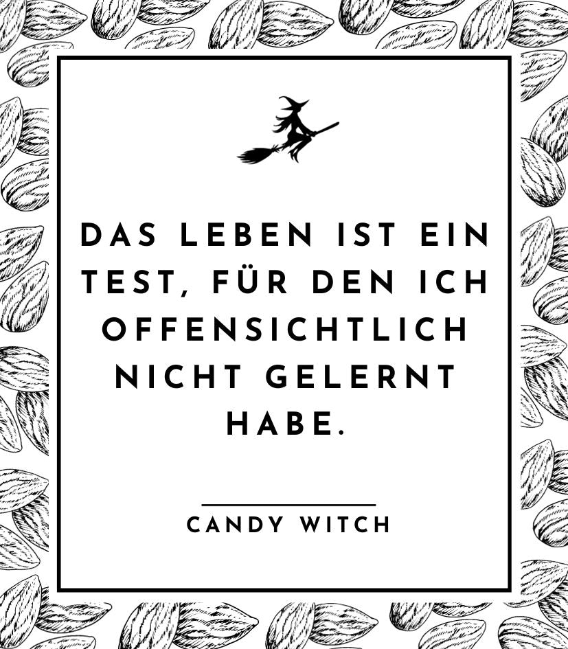 #1519 | Das Leben ist ein Test, für den ich offensichtlich nicht gelernt habe.