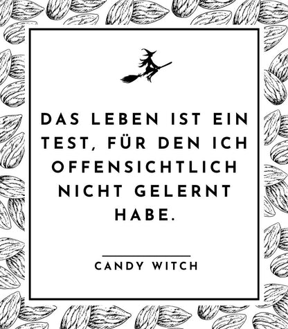 #1519 | Das Leben ist ein Test, für den ich offensichtlich nicht gelernt habe.